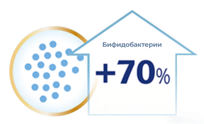 прирост Бифидобактерий