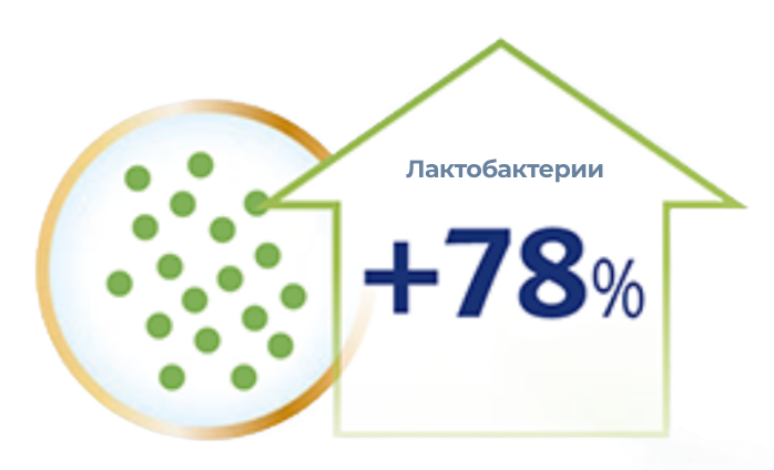 прирост Лактобактерий